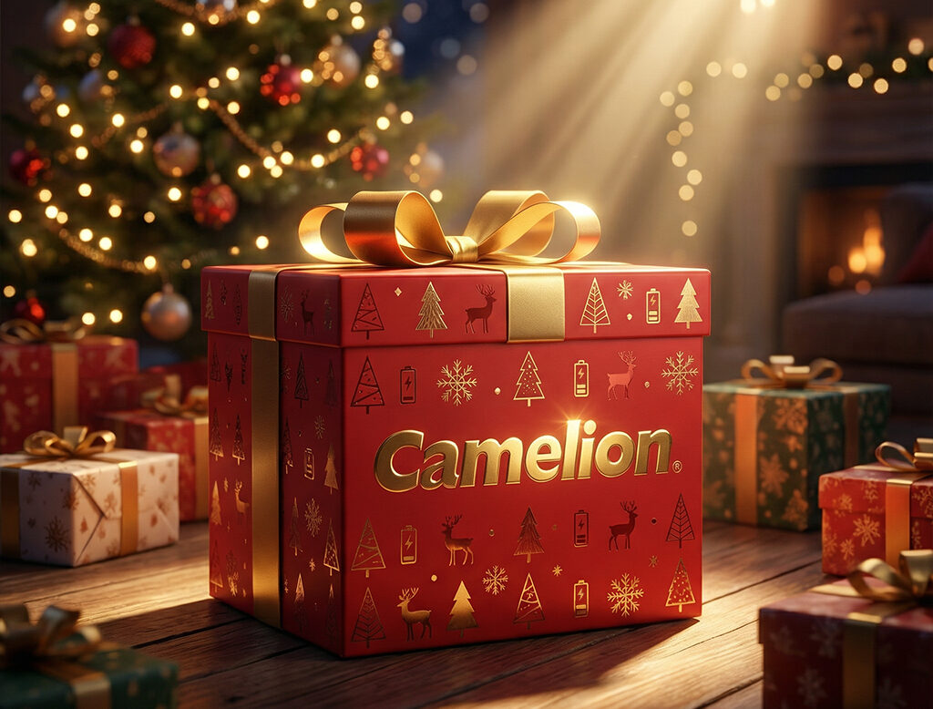Frohe Weihnachten vom Camelion-Team